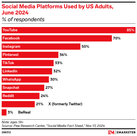 Social Media Platforms Used by US Adults, June 2024 (% of respondents)